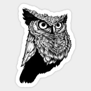 Owl line art with no colors Sticker